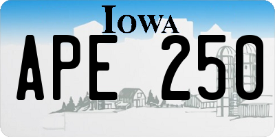 IA license plate APE250