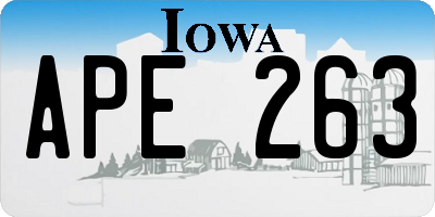 IA license plate APE263