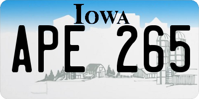 IA license plate APE265