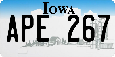 IA license plate APE267