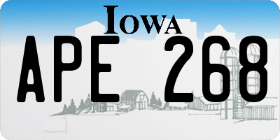 IA license plate APE268