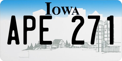 IA license plate APE271