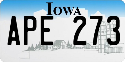 IA license plate APE273