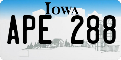 IA license plate APE288