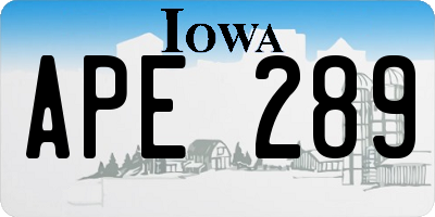 IA license plate APE289