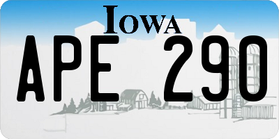 IA license plate APE290