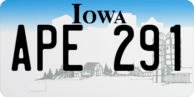 IA license plate APE291