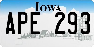 IA license plate APE293