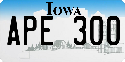 IA license plate APE300