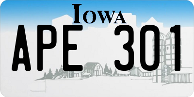 IA license plate APE301