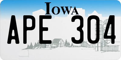 IA license plate APE304