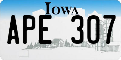 IA license plate APE307