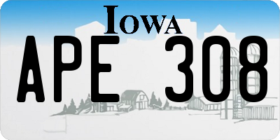 IA license plate APE308