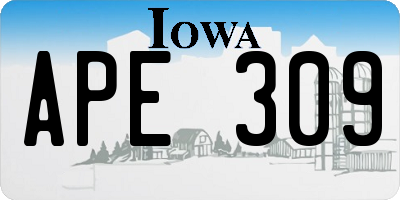 IA license plate APE309