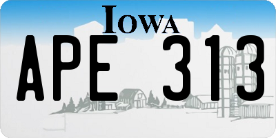 IA license plate APE313