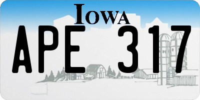 IA license plate APE317