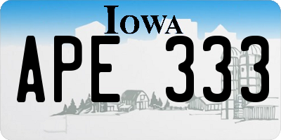 IA license plate APE333