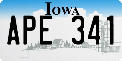 IA license plate APE341