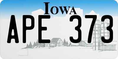IA license plate APE373