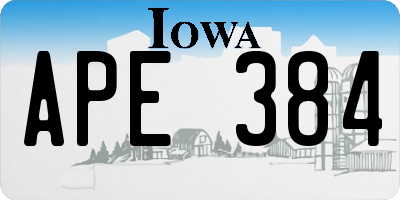IA license plate APE384