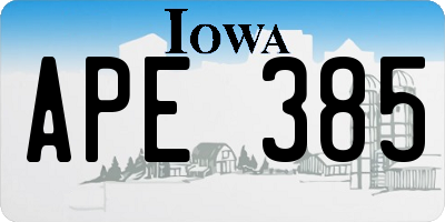IA license plate APE385