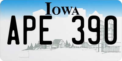 IA license plate APE390