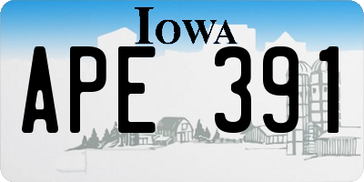 IA license plate APE391