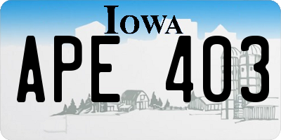 IA license plate APE403