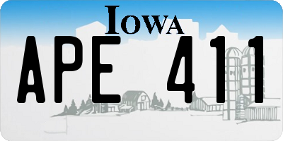 IA license plate APE411