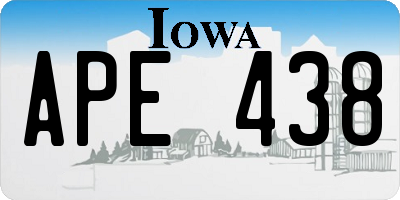 IA license plate APE438