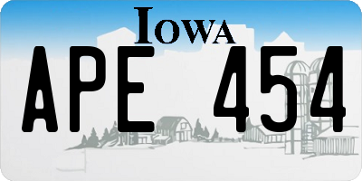 IA license plate APE454
