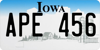 IA license plate APE456