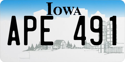 IA license plate APE491