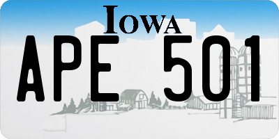 IA license plate APE501