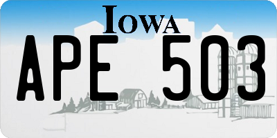 IA license plate APE503