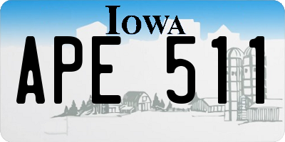 IA license plate APE511