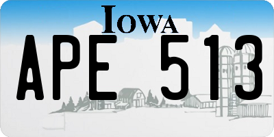 IA license plate APE513