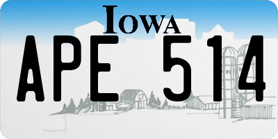IA license plate APE514