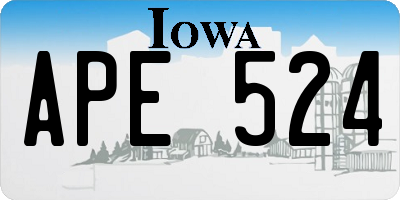 IA license plate APE524