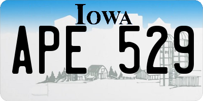 IA license plate APE529