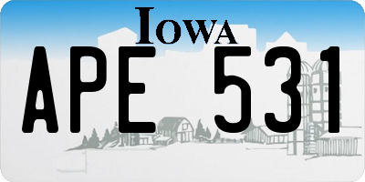 IA license plate APE531