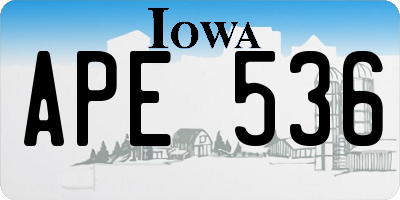 IA license plate APE536