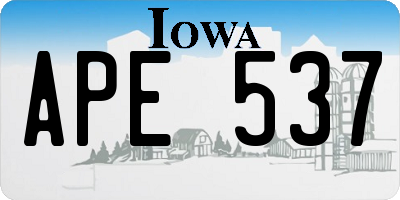 IA license plate APE537
