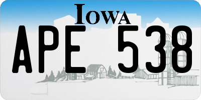 IA license plate APE538