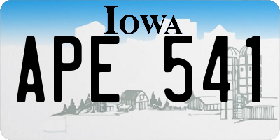 IA license plate APE541
