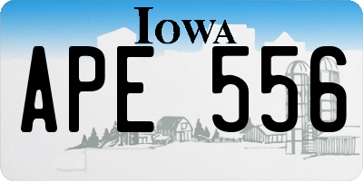 IA license plate APE556