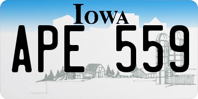 IA license plate APE559