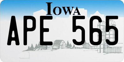 IA license plate APE565