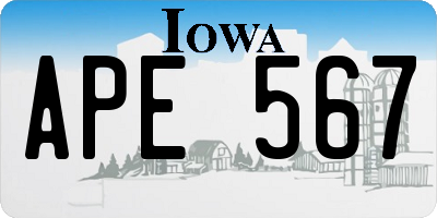 IA license plate APE567