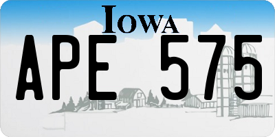 IA license plate APE575